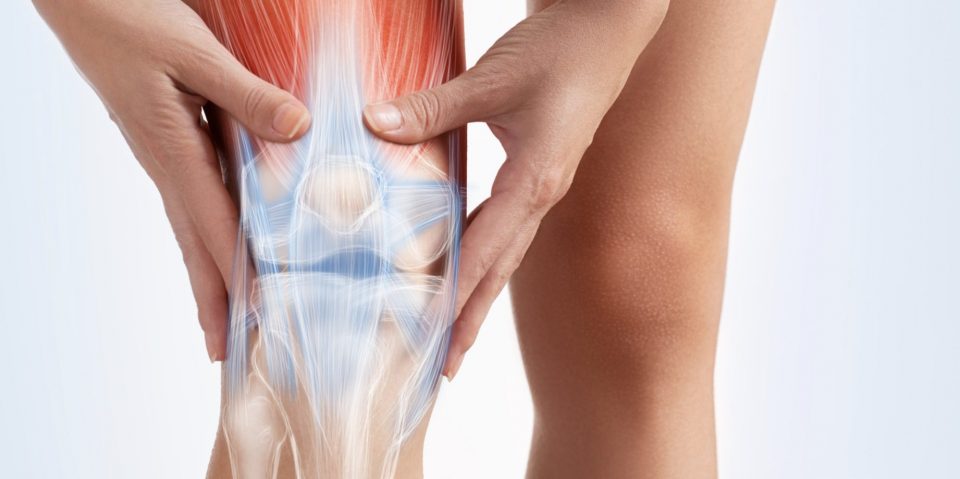 一般的にいわれる変形性膝関節症とは？